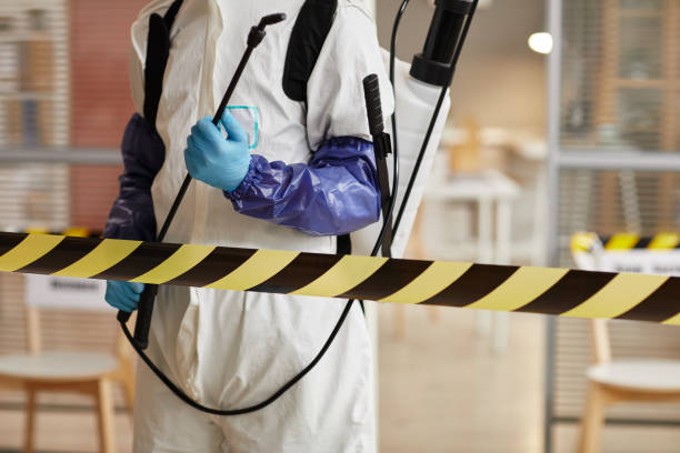 Professional Hoarding Cleanup technician working in East Northport, NY